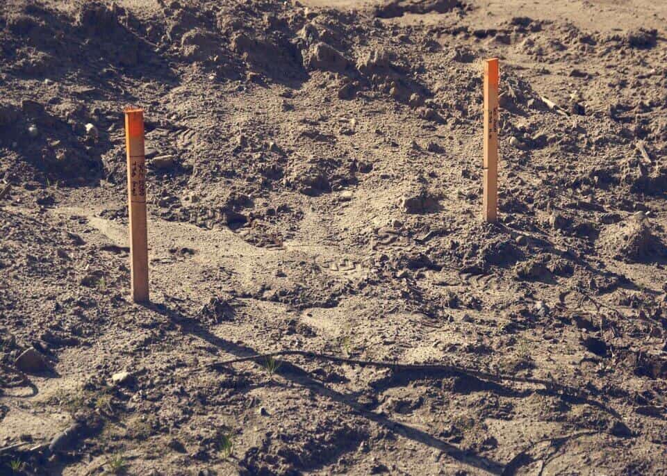 A picture of survey pegs on the ground